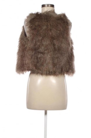 Γυναικείο γιλέκο Pimkie, Μέγεθος S, Χρώμα Πολύχρωμο, Τιμή 5,99 €