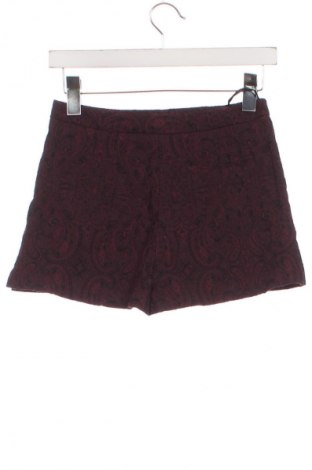 Γυναικείο κοντό παντελόνι Atmosphere, Μέγεθος XS, Χρώμα Πολύχρωμο, Τιμή 9,72 €