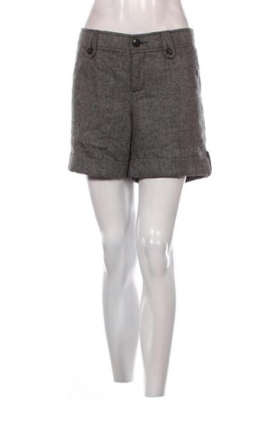 Damen Shorts Esprit, Größe XL, Farbe Mehrfarbig, Preis € 12,99