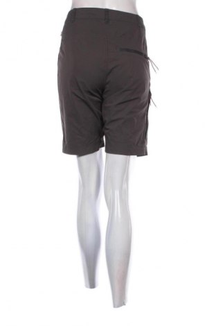 Damen Shorts Fjallraven, Größe L, Farbe Grau, Preis 24,99 €