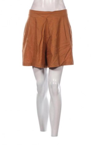 Pantaloni scurți de femei Motivi, Mărime M, Culoare Maro, Preț 108,00 Lei