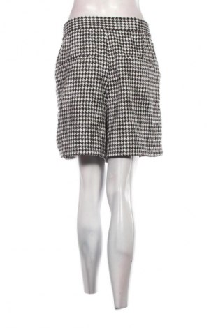 Damskie szorty Ms Mode, Rozmiar XXL, Kolor Kolorowy, Cena 40,99 zł