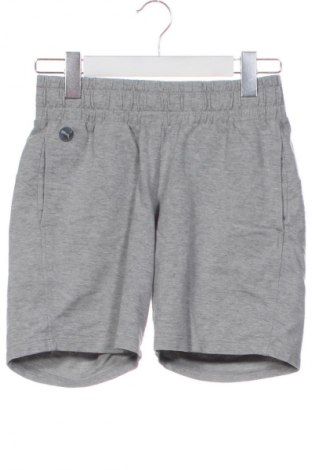 Damen Shorts PUMA, Größe XS, Farbe Grau, Preis 19,99 €