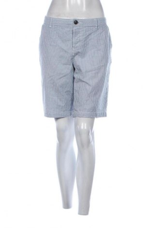 Damen Shorts Superdry, Größe XL, Farbe Mehrfarbig, Preis € 18,99