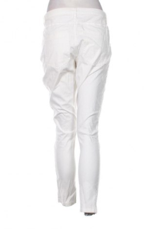 Dámske nohavice Blue Motion, Veľkosť XL, Farba Kremová, Cena  15,00 €