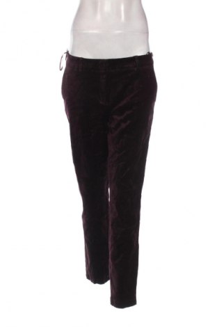 Damenhose Cambio, Größe L, Farbe Rot, Preis € 18,99