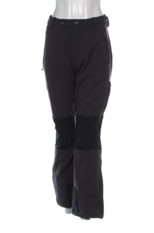 Γυναικείο παντελόνι Crane, Μέγεθος L, Χρώμα Γκρί, Τιμή 10,99 €