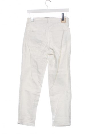 Damenhose Massimo Dutti, Größe S, Farbe Weiß, Preis € 31,71