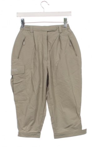 Damenhose Schoeller, Größe XS, Farbe Grün, Preis € 15,00