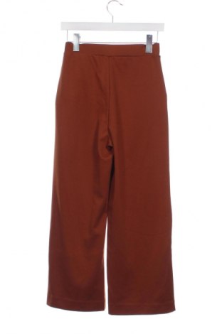 Damenhose Tom Tailor, Größe XXS, Farbe Braun, Preis € 15,99