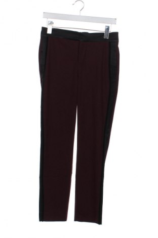 Damenhose Zara, Größe S, Farbe Rot, Preis € 9,99