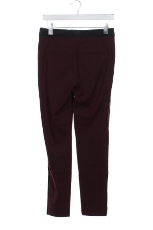 Damenhose Zara, Größe S, Farbe Rot, Preis € 9,99