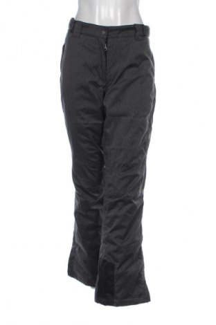 Дамски панталон за зимни спортове Crane, Размер XL, Цвят Сив, Цена 27,99 лв.