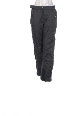 Γυναίκειο παντελόνι για χειμερινά σπορ Crane, Μέγεθος XL, Χρώμα Γκρί, Τιμή 16,99 €