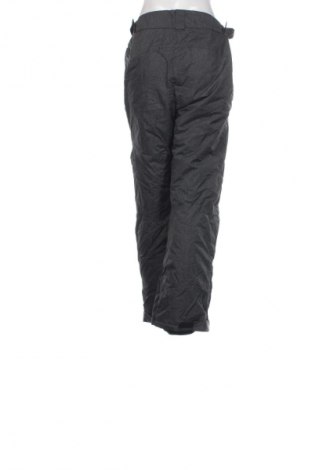 Γυναίκειο παντελόνι για χειμερινά σπορ Crane, Μέγεθος XL, Χρώμα Γκρί, Τιμή 16,99 €
