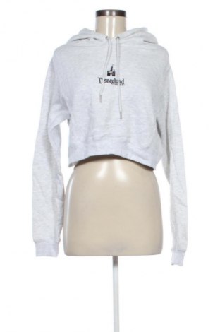 Damen Sweatshirt Disneyland, Größe L, Farbe Grau, Preis 8,99 €
