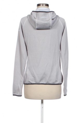 Damen Sweatshirt Icepeak, Größe L, Farbe Grau, Preis € 25,00
