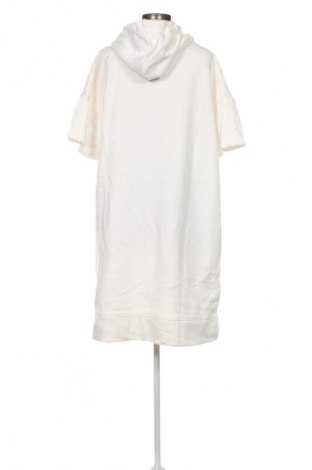 Damen Sweatshirt Page One, Größe XL, Farbe Weiß, Preis 12,99 €