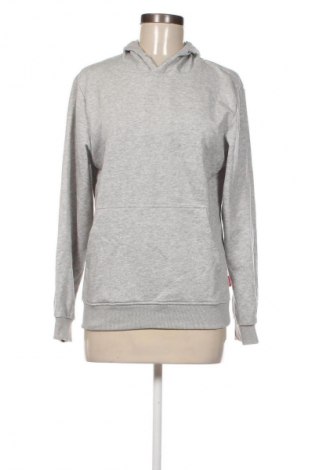 Γυναικείο φούτερ Unbranded, Μέγεθος L, Χρώμα Γκρί, Τιμή 4,99 €