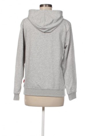 Γυναικείο φούτερ Unbranded, Μέγεθος L, Χρώμα Γκρί, Τιμή 4,99 €