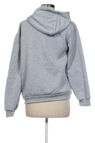 Damen Sweatshirt Unbranded, Größe M, Farbe Grau, Preis € 9,99