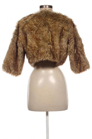 Damenmantel Nkd, Größe M, Farbe Mehrfarbig, Preis € 21,99