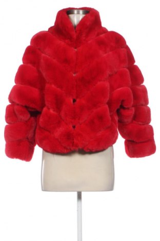 Damenmantel Unbranded, Größe S, Farbe Rot, Preis 29,74 €