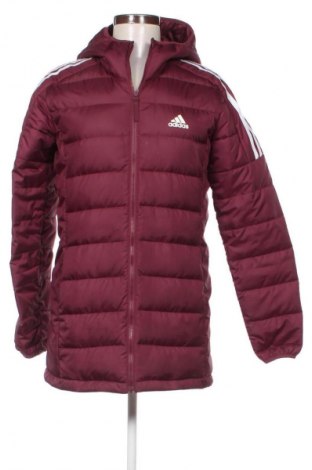 Damenjacke Adidas, Größe S, Farbe Rot, Preis € 42,00