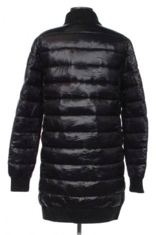 Damenjacke Champion, Größe M, Farbe Blau, Preis € 44,99