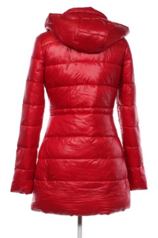 Damenjacke Clockhouse, Größe S, Farbe Rot, Preis € 24,99