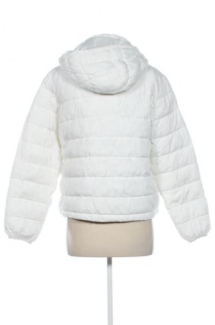 Damenjacke Clockhouse, Größe M, Farbe Weiß, Preis 15,99 €