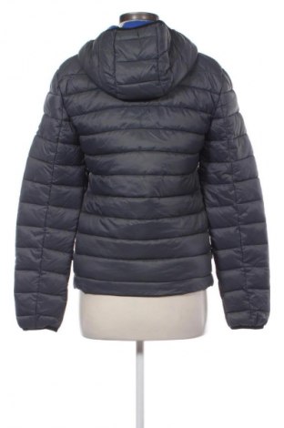 Damenjacke Gaudi Jeans, Größe S, Farbe Grau, Preis € 137,99