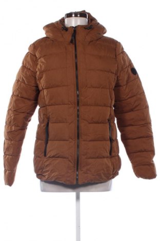 Geacă de femei Gina, Mărime M, Culoare Maro, Preț 134,99 Lei