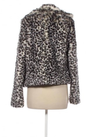 Damenjacke H&M Divided, Größe M, Farbe Mehrfarbig, Preis € 13,99