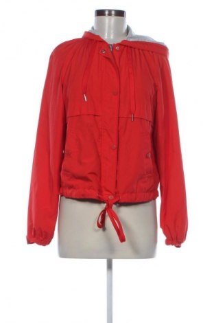 Damenjacke H&M Divided, Größe XS, Farbe Rot, Preis € 13,99
