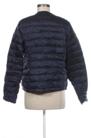 Dámska bunda  Massimo Dutti, Veľkosť XL, Farba Modrá, Cena  60,95 €