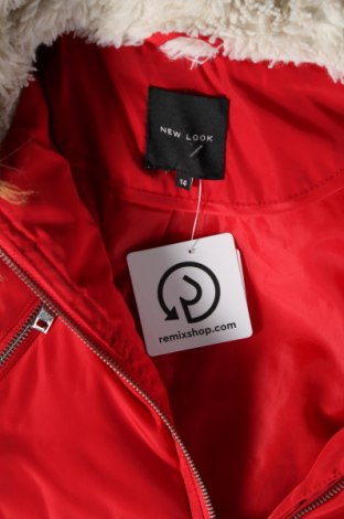 Dámska bunda  New Look, Veľkosť L, Farba Červená, Cena  29,95 €