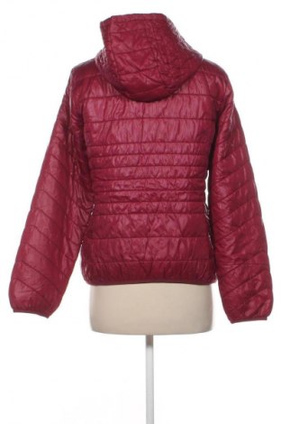 Damenjacke Oviesse, Größe L, Farbe Rot, Preis 15,99 €