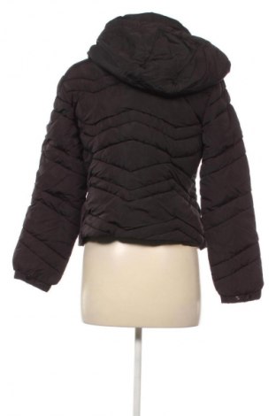 Dámska bunda  Primark, Veľkosť S, Farba Čierna, Cena  13,95 €