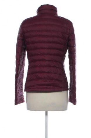 Dámska bunda  Skagen, Veľkosť XL, Farba Fialová, Cena  45,52 €