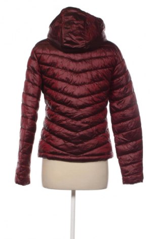 Damenjacke Superdry, Größe M, Farbe Rot, Preis € 52,99