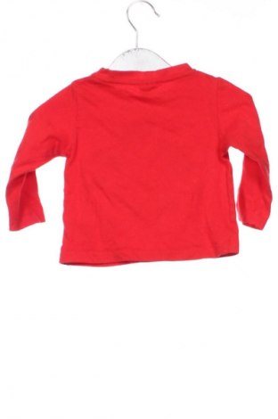 Gyerek blúz Cactus, Méret 9-12m / 74-80 cm, Szín Sokszínű, Ár 1 719 Ft