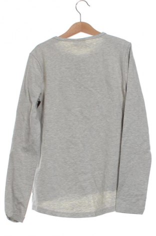 Dziecięca bluzka Coccodrillo, Rozmiar 11-12y/ 152-158 cm, Kolor Szary, Cena 41,06 zł