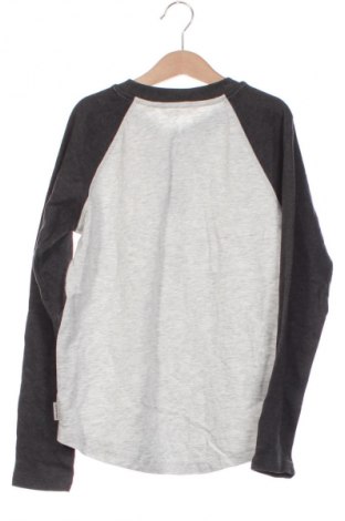 Dziecięca bluzka Country Road, Rozmiar 9-10y/ 140-146 cm, Kolor Kolorowy, Cena 62,99 zł