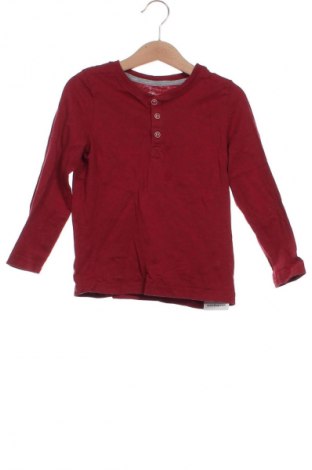 Gyerek blúz Lupilu, Méret 2-3y / 98-104 cm, Szín Piros, Ár 2 400 Ft