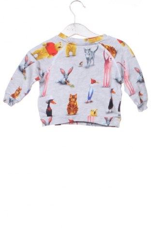 Gyerek blúz Molo, Méret 3-6m / 62-68 cm, Szín Sokszínű, Ár 4 800 Ft