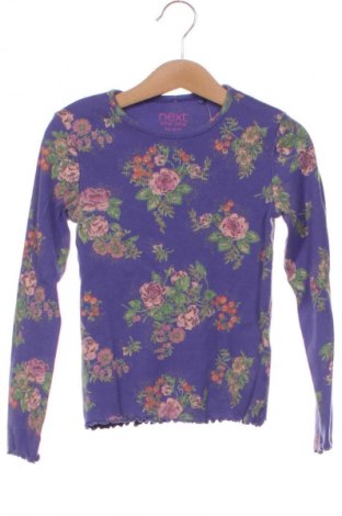 Dětská halenka  Next, Velikost 5-6y/ 116-122 cm, Barva Vícebarevné, Cena  291,00 Kč