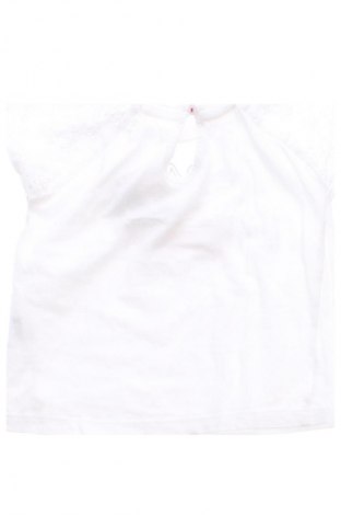 Gyerek blúz Piazza Italia, Méret 2-3y / 98-104 cm, Szín Sokszínű, Ár 2 400 Ft