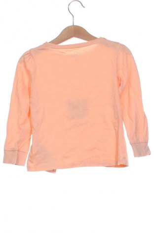 Gyerek blúz Tex, Méret 3-4y / 104-110 cm, Szín Sokszínű, Ár 1 719 Ft