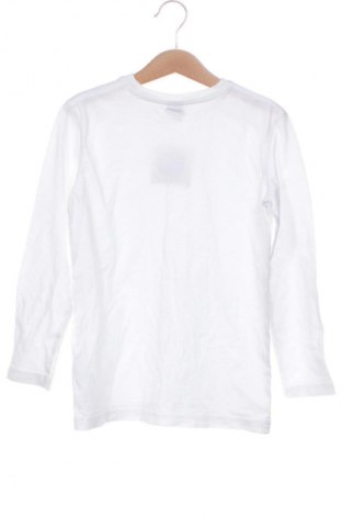 Dziecięca bluzka Y.F.K., Rozmiar 6-7y/ 122-128 cm, Kolor Biały, Cena 27,59 zł